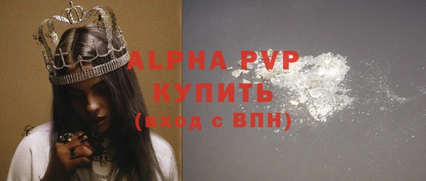 a pvp Новозыбков