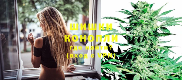 эйфоретик Новодвинск