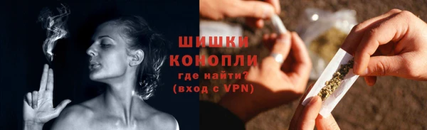 эйфоретик Няндома