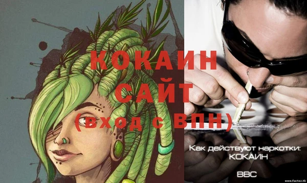 эйфоретик Новодвинск