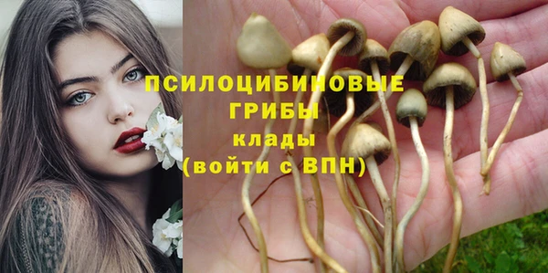 мдма Новокубанск