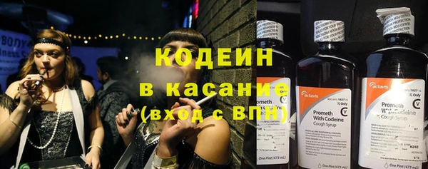 a pvp Новозыбков