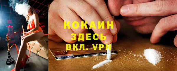 a pvp Новозыбков