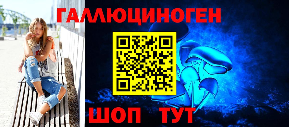 Галлюциногенные грибы Psilocybe  Вход с VPN  Карпинск  Галлюциногенные грибы мицелий 
