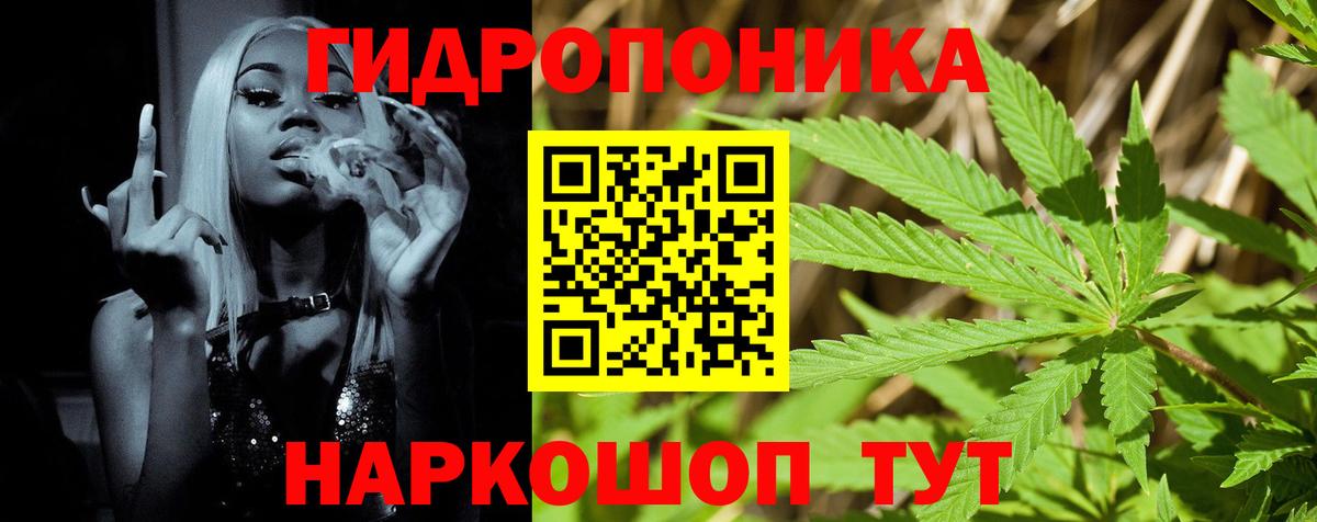 Бошки марихуана сатива  Шишки марихуана семена  Бошки Шишки индика  Бошки марихуана марихуана  Вход с VPN  Карпинск 